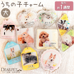 ペット メモリアルグッズ 写真入り 名入れ アクリル チャーム大 【ネコポス対応】