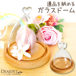 ペット仏具 ミニ ガラス ドーム 透明 メモリアルグッズ 遺品 を 納める ハート エンジェル 木製 ケース【送料無料】