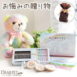 【ラッピング付】ペット お悔み ギフト くまちゃん ミニ & 虹の橋のたもと 平箱 線香・ろうそく & 丸型 クッキー & ポストカード セット ぬいぐるみ ラッピング 虹の橋カード付 zz 【送料無料】