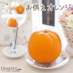 ペット仏具 お供え オレンジ