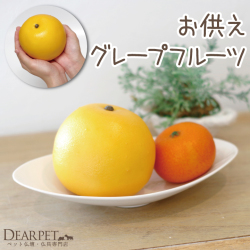 ペット仏具 お供え グレープフルーツ 1個 本物そっくり 食べられません