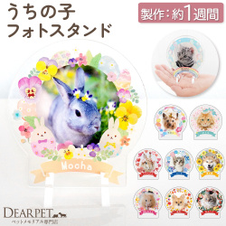 ペット仏具 うちの子 フォト スタンド ミニ ラージ 写真 名入れ アクリル スタンド ペット 遺影 フォトスタンド 【送料無料】