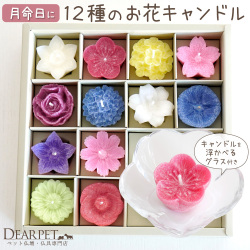 ペット お供え ろうそく 月命日に 花づくし フローティング キャンドル 水に浮かぶ お花 12個 セット キャンドルホルダー 付 桜 カメヤマ