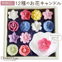 ペット お供え ろうそく 月命日に 花づくし フローティング キャンドル 水に浮かぶ お花 12個 セット キャンドルホルダー 付 桜 カメヤマ