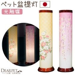 ペット供養 盆提灯 ライト 桜 芙蓉 光触媒 除菌 殺菌 防臭 国産 盆ちょうちん 提灯