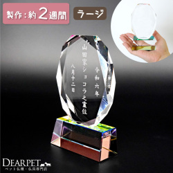 ペット 位牌 クリスタル Y8 大 ラージ シンプル レーザー サンド 縦書き 楕円