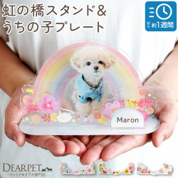 【受注生産】ペット お供え お飾り 虹の橋 スタンド 写真 うちの子プレート きせかえパーツ セット ネームプレート アクリル 季節 【ネコポス対応】