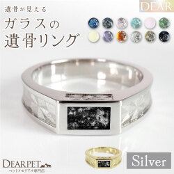ペット 遺骨 リング 指輪 DEAR ディア "TSUMUGI" スターコンバージリング 名入れ無料 ガラス 封入 遺骨ジュエリー 遺骨リング シルバー SR04