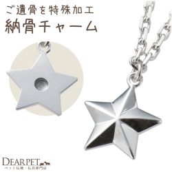 ペット 遺骨 アクセサリー TWINKLE(S) チャーム 単品 星 スター ISSHONY ARIES