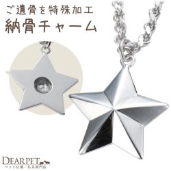 ペット 遺骨 アクセサリー TWINKLE（L） チャーム 単品 星 スター ISSHONY ARIES