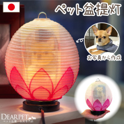 ペット盆提灯 写真入り ペット供養 ちょうちん 蓮の花