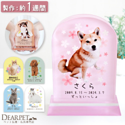 ペット 位牌 DP-1 グレイブ クリスタル 両面タイプ クリスタル位牌 ペット位牌