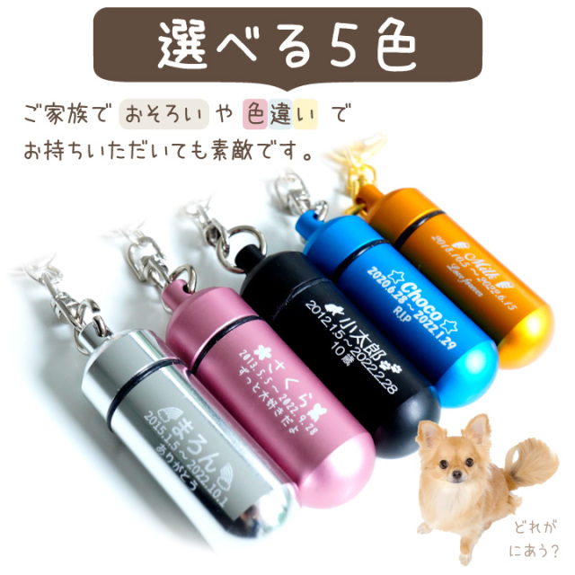 3行刻印 ペット 遺骨カプセル ペットロス カプセル 巾着 ガラス ボトル