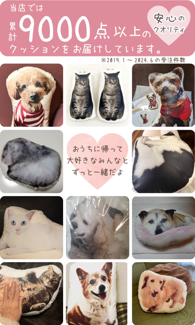 あの頃のペット用クッション