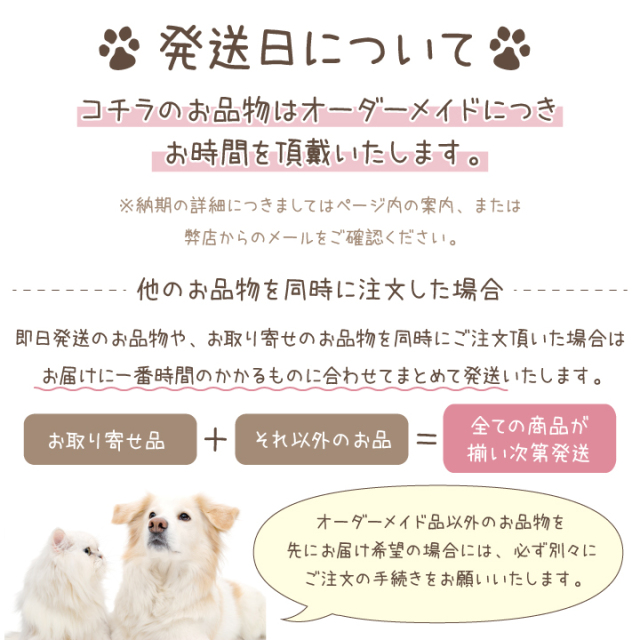 ペット 挨拶状 印刷 名入れ無料 10枚 セット 暑中見舞い 寒中見舞い 