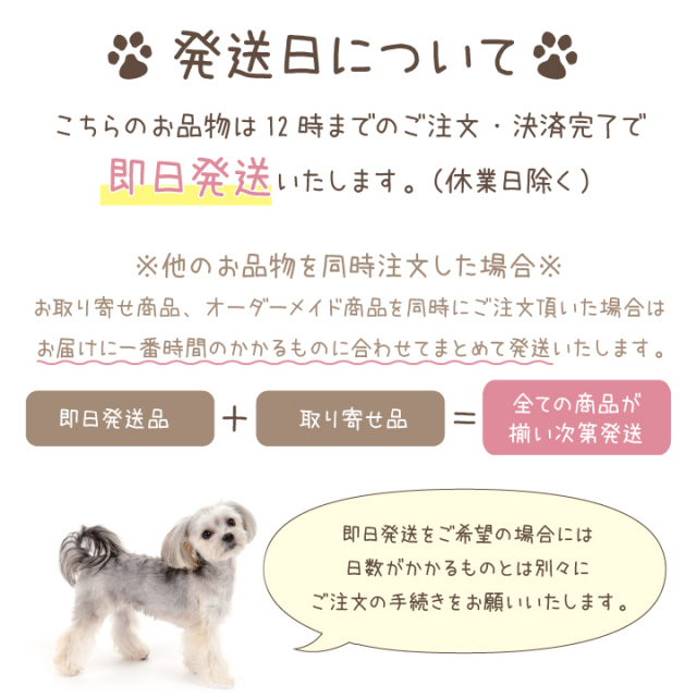ペット骨壷 柴犬骨壷 ５寸