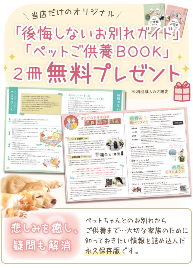 ドライアイス 5kg クール便 ペット 遺体 安置用 小型犬 猫 うさぎ 最短