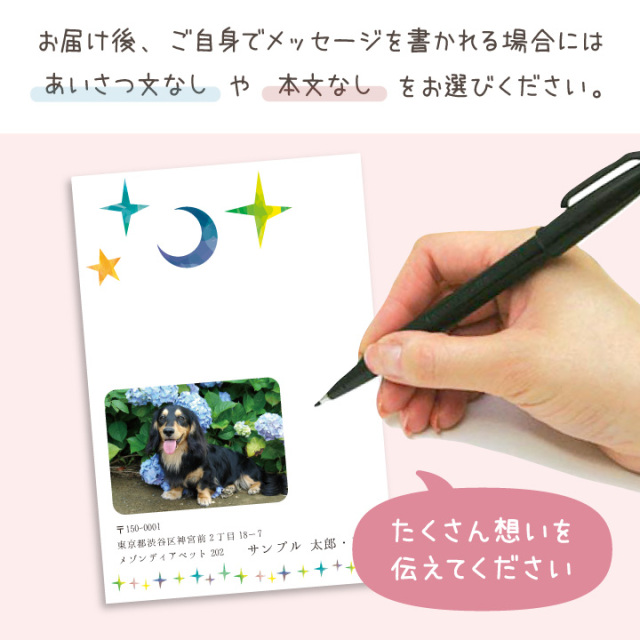 ペット 挨拶状 印刷 名入れ無料 10枚 セット 暑中見舞い 寒中見舞い クリスマスカード ネコポス対応