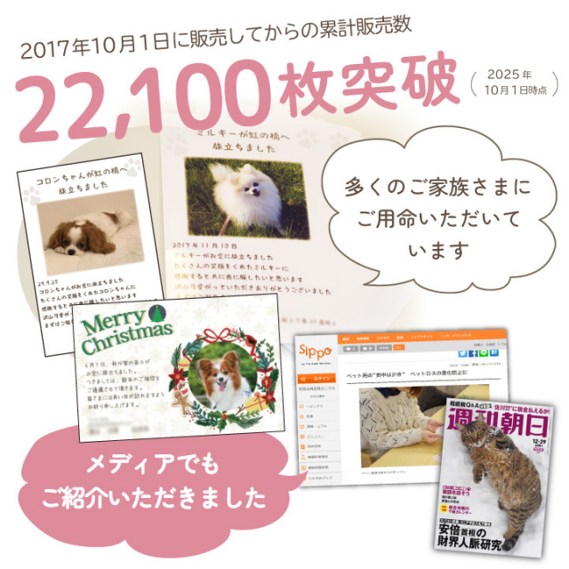 ペット 挨拶状 印刷 名入れ無料 10枚 セット 暑中見舞い 寒中見舞い 