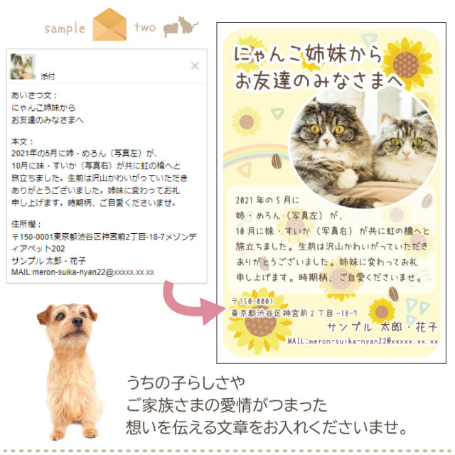 ペット 挨拶状 喪中はがき 自由な 文章 カスタムタイプ オーダーメイド 