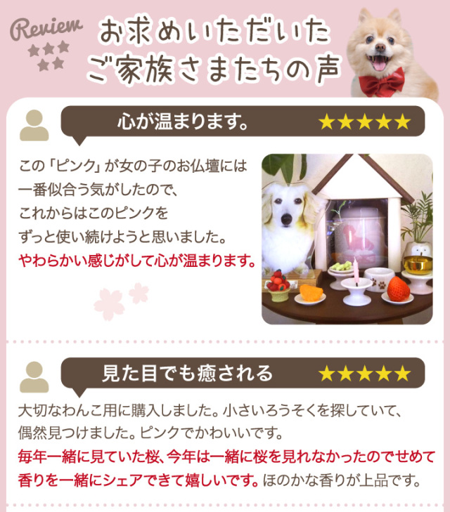 サクラペット　小松シャベルローダー No.4　極レア（美品） Amazon.co.jp: 『カードキャプターさくら クリアカード編』 木之本桜