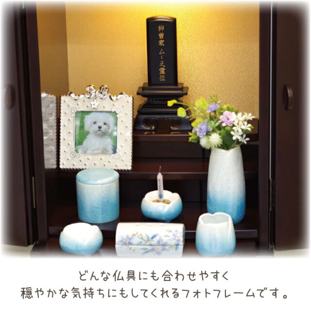 イ・チェヨン MAKESTAR限定 未公開フォトカード 子犬 ver. SET イ・チェヨン MAKESTAR限定 未公開フォトカード 子犬 ver. SET