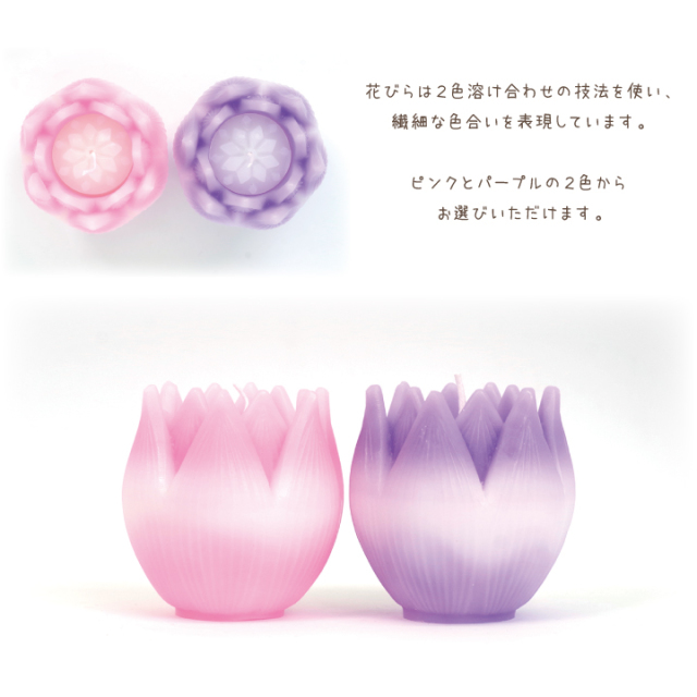 キャンドル リリィ Lily 睡蓮 単品 器は付属しません ピンク パープル