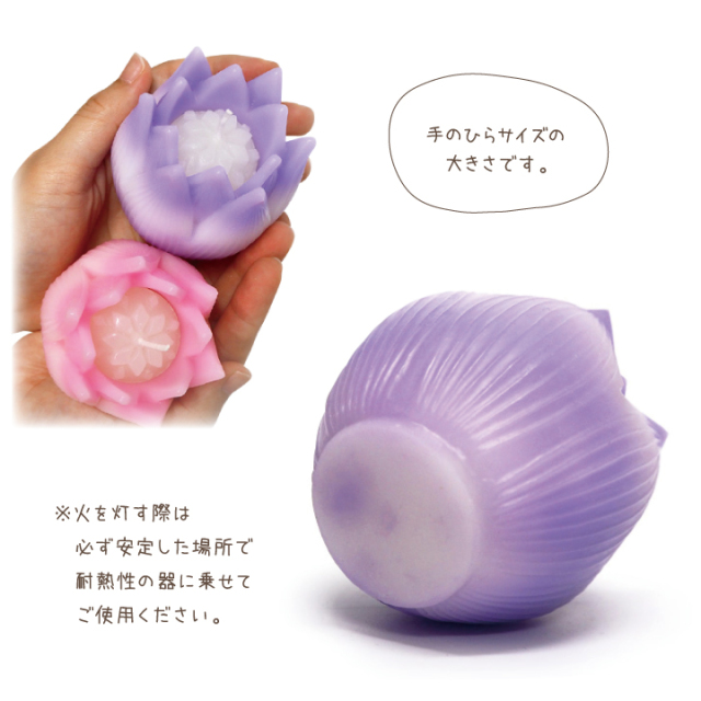 キャンドル リリィ Lily 睡蓮 単品 器は付属しません ピンク パープル