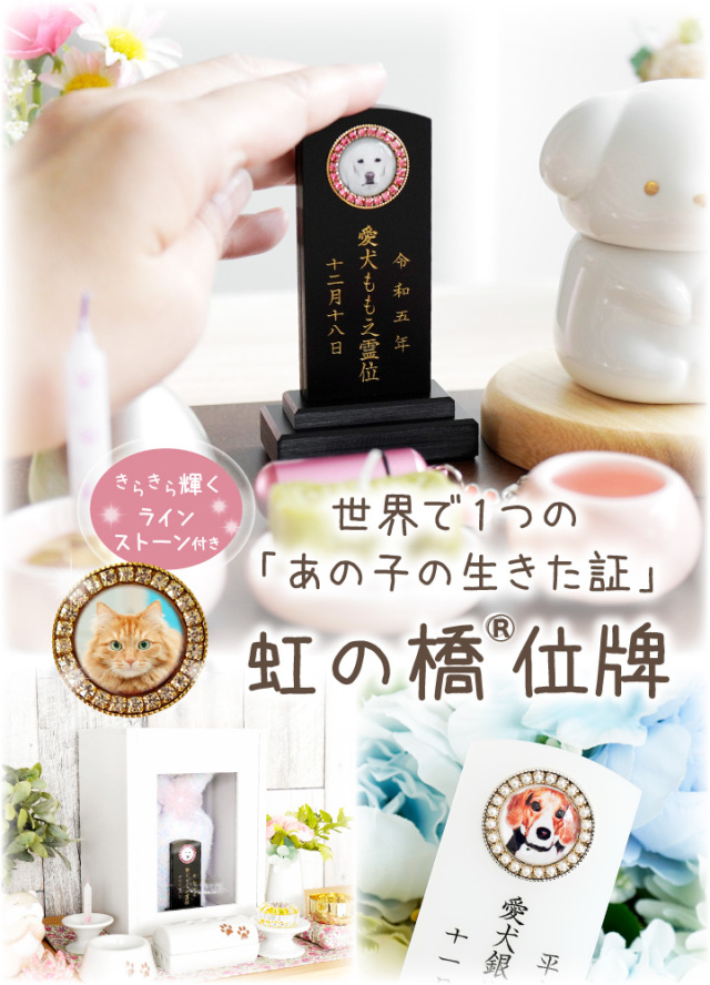 ペット位牌 きらきら角位牌 - ペット仏壇・仏具・骨壷・位牌のディアペット