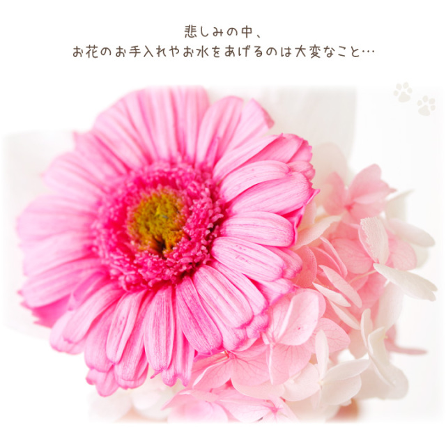 ペット お悔やみ プリザーブドフラワー ローズ ガーベラ あじさい ピンク ホワイト 白