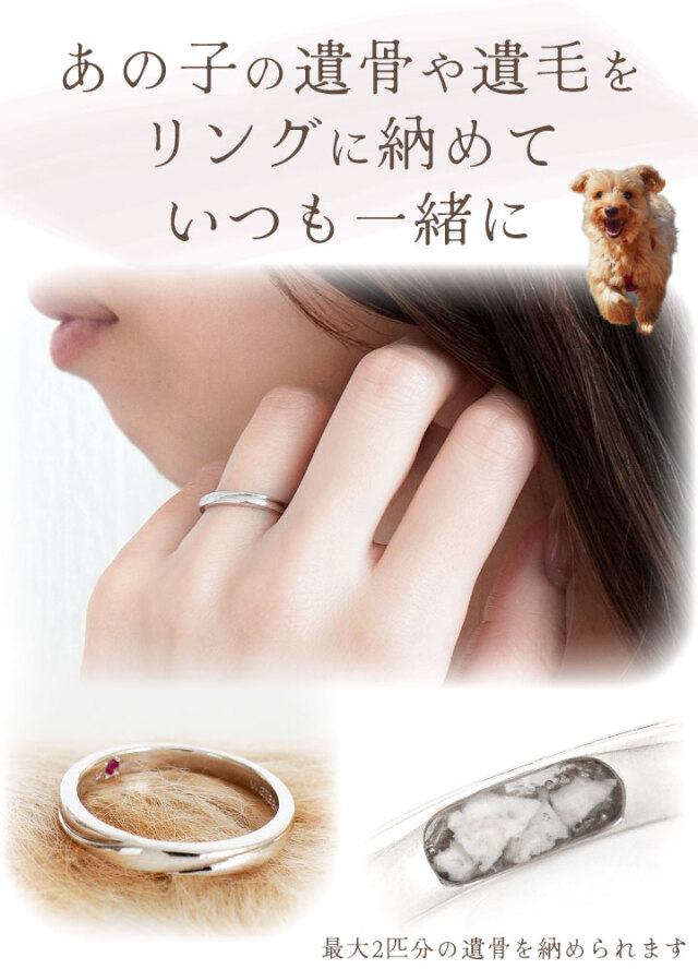 宇都宮檀さんのリング 宇都宮 檀 (@mayumi_utsunomiya) • Instagram photos and videos