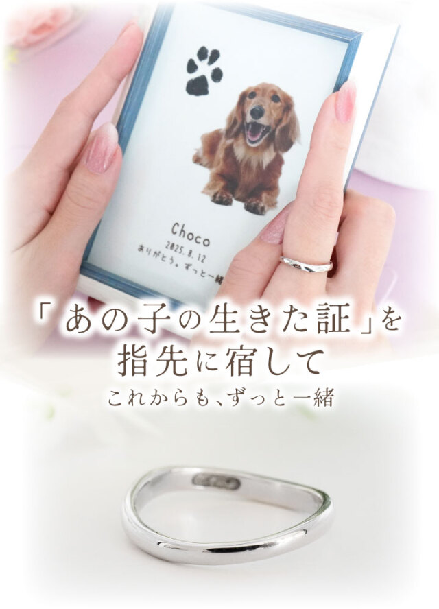 ペット 遺骨 リング 指輪 DEAR ディア 