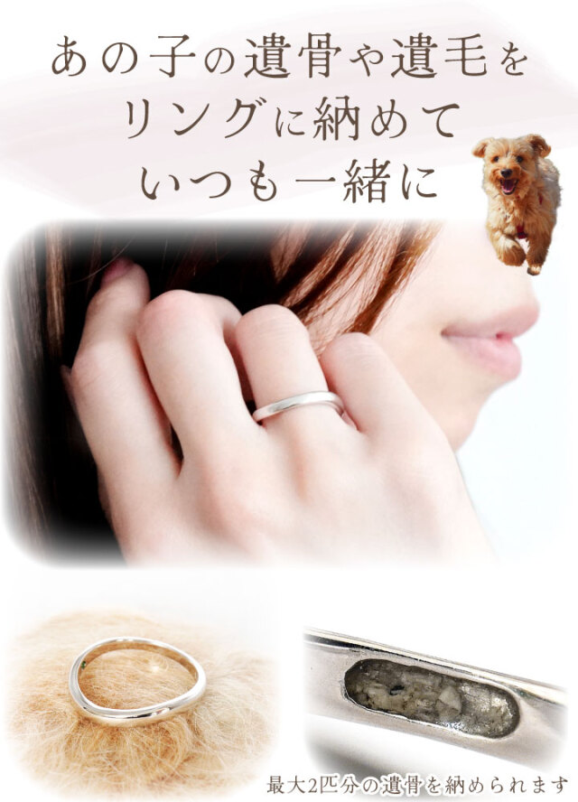 ペット 遺骨 リング 指輪 DEAR ディア 