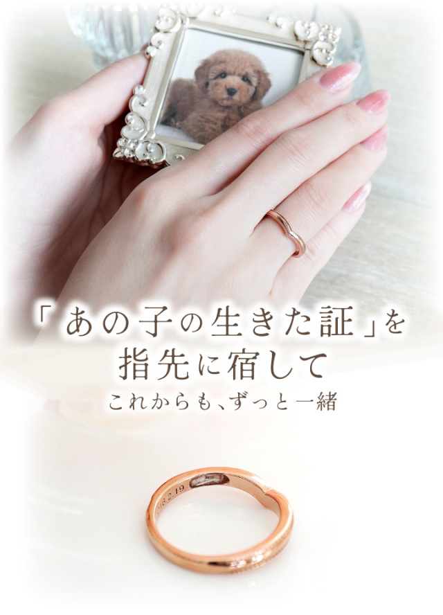 ペット 遺骨 リング 指輪 DEAR ディア 