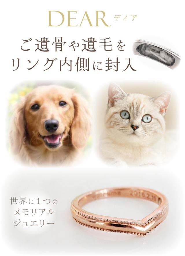 ペット 遺骨 リング 指輪 DEAR ディア 