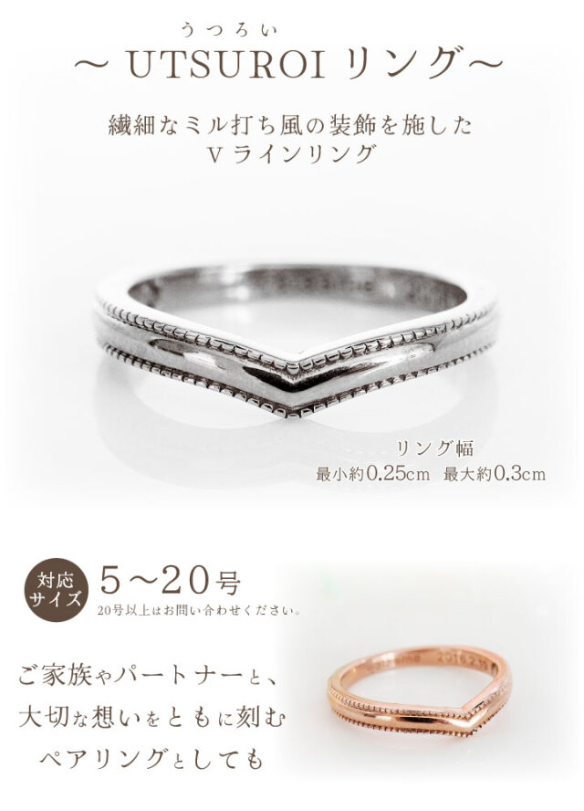 ペット 遺骨 リング 指輪 DEAR ディア 