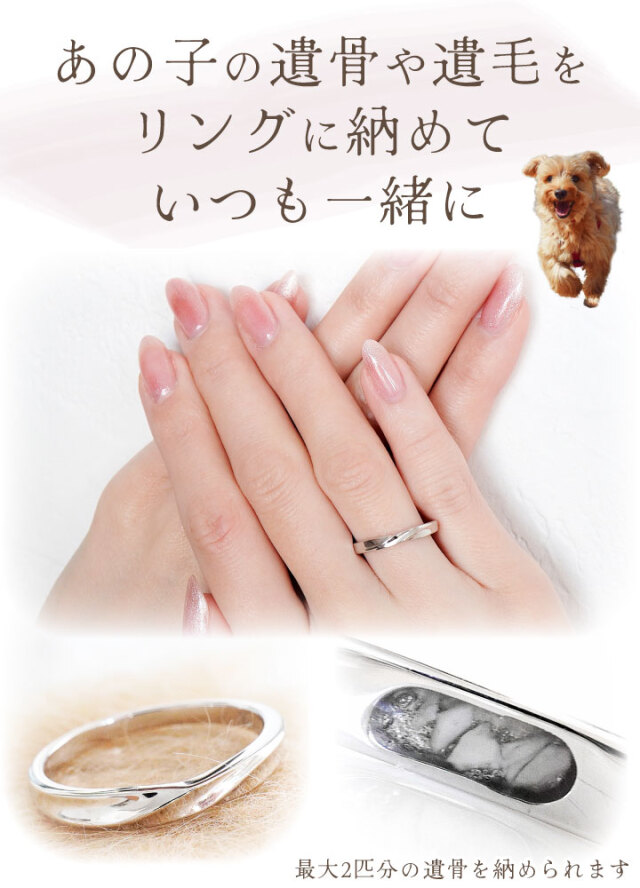クーポンで10%OFF】ペット 遺骨 リング 指輪 DEAR ディア 