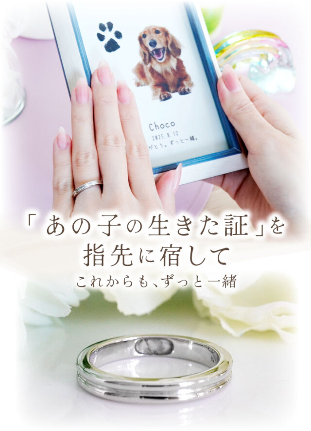 ペット 遺骨 リング 指輪 DEAR ディア