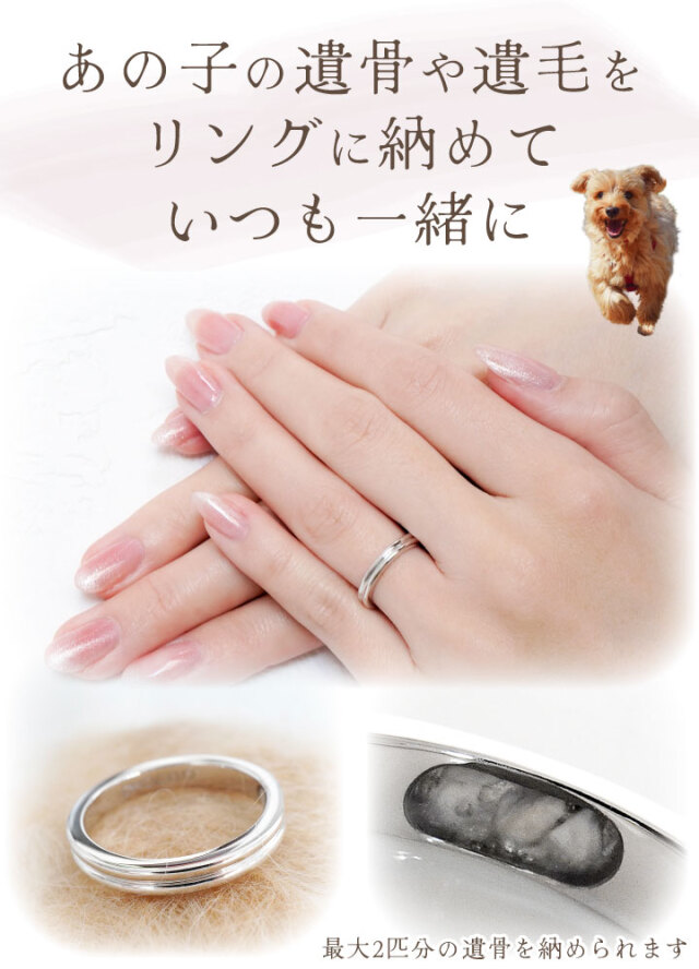 ペット 遺骨 リング 指輪 DEAR ディア 