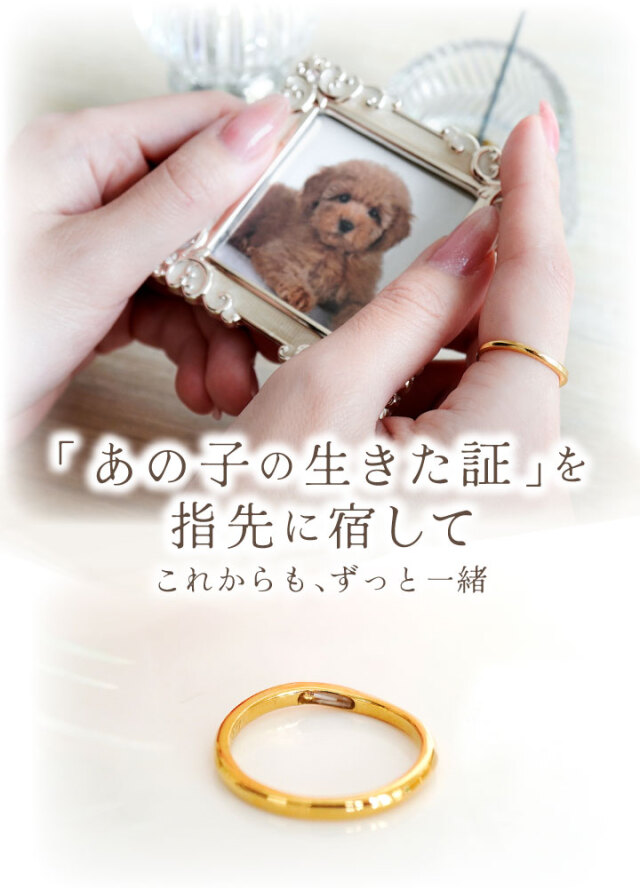 ペット 遺骨 リング 指輪 DEAR ディア 