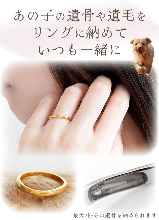 ペット 遺骨 リング 指輪 DEAR ディア 