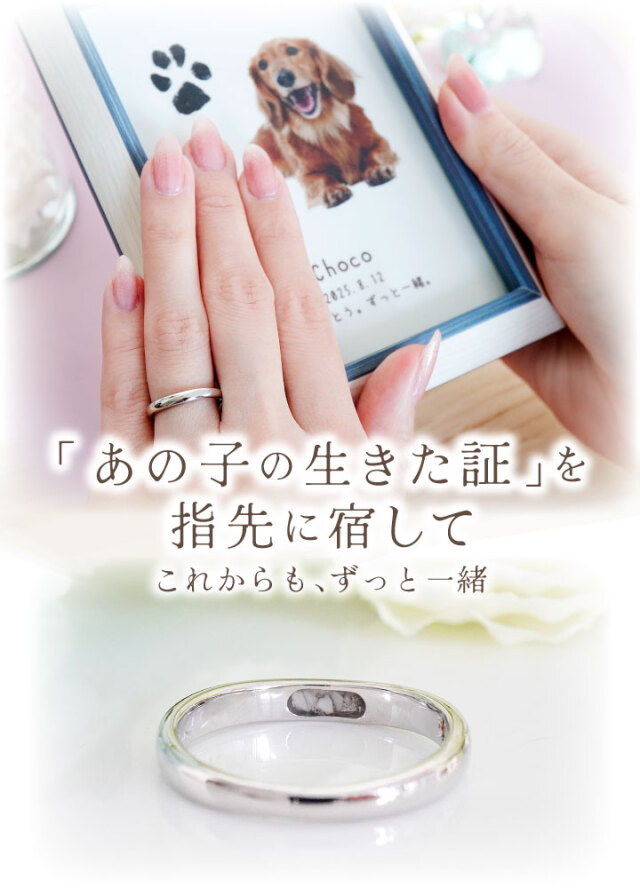 ペット 遺骨 リング 指輪 DEAR ディア 