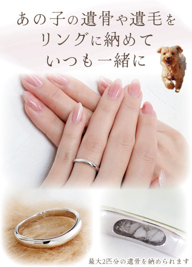ペット 遺骨 リング 指輪 DEAR ディア 