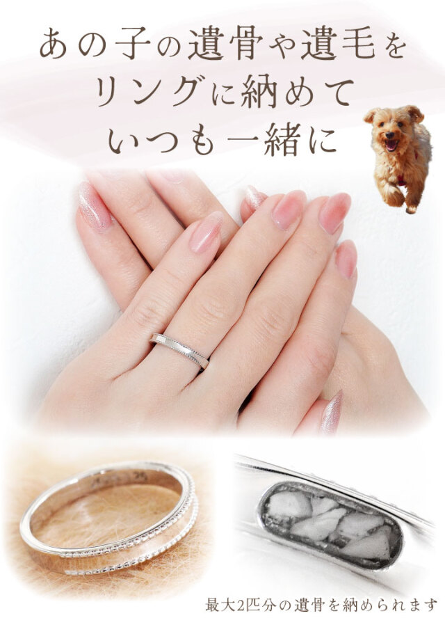 ペット 遺骨 リング 指輪 DEAR ディア 