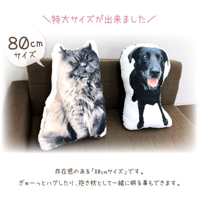 我が家の愛犬(14歳♀)が使い古したクッション。 我が家の愛犬(14歳♀)が使い古したクッション。