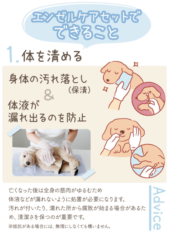 ペット用 ペット エンゼルケア セット 最短 即日発送 衛生処置 ペット