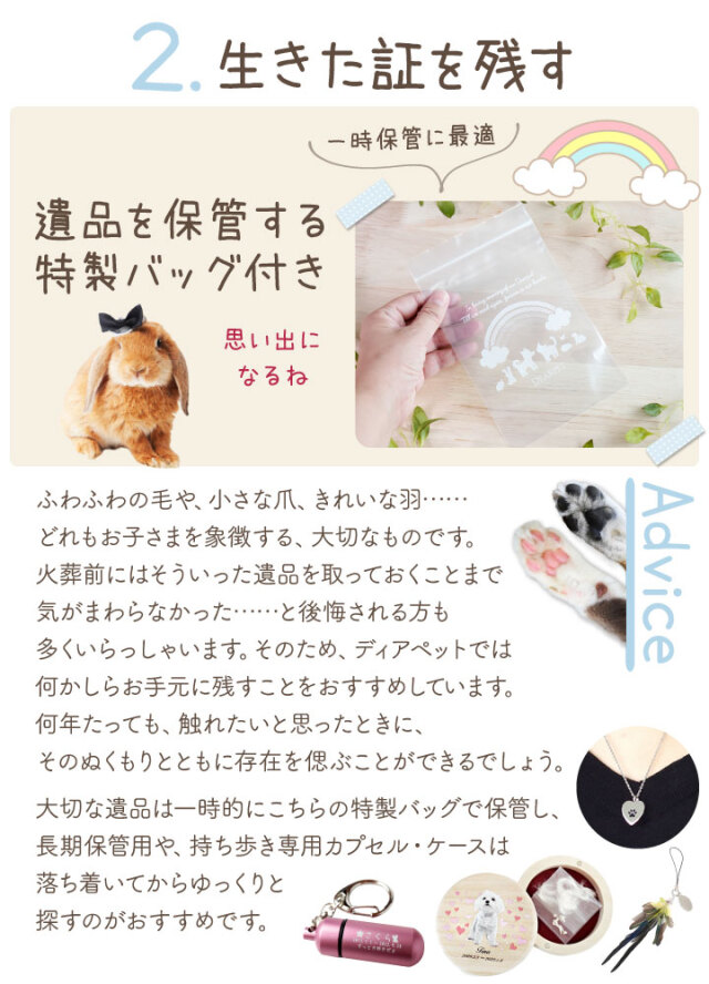 ペット用 ペット エンゼルケア セット 最短 即日発送 衛生処置 ペット