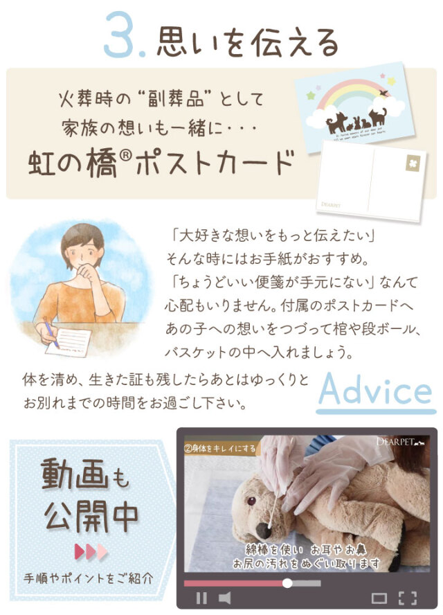 ペット用 ペット エンゼルケア セット 最短 即日発送 衛生処置 ペット