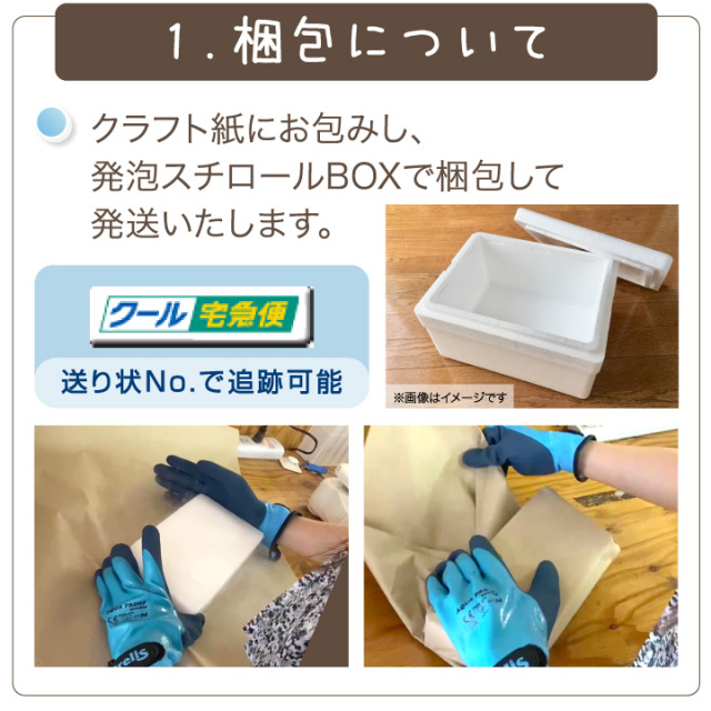 ドライアイス 5kg クール便 ペット 遺体 安置用 小型犬 猫 うさぎ 最短