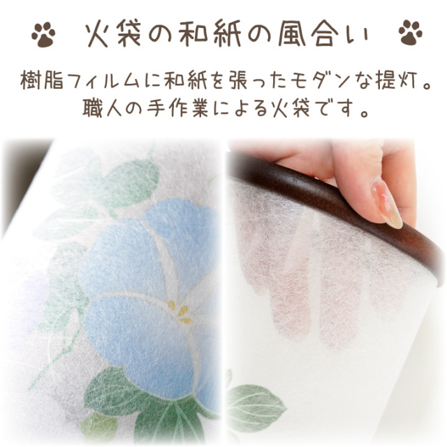 あさがお　とんぼ　額 Amazon | 株式会社トーホク 大輪あさがお(混合) 00299 | 花